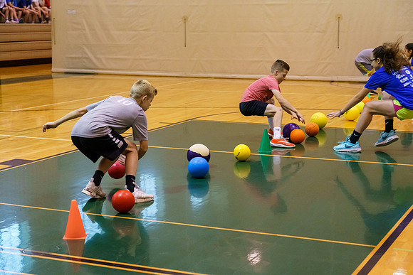 countryauction0177