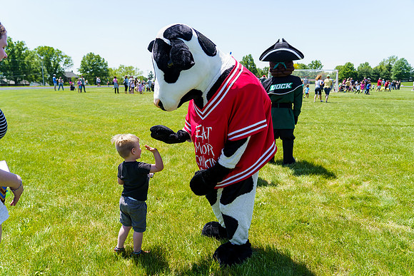 countryauction0266